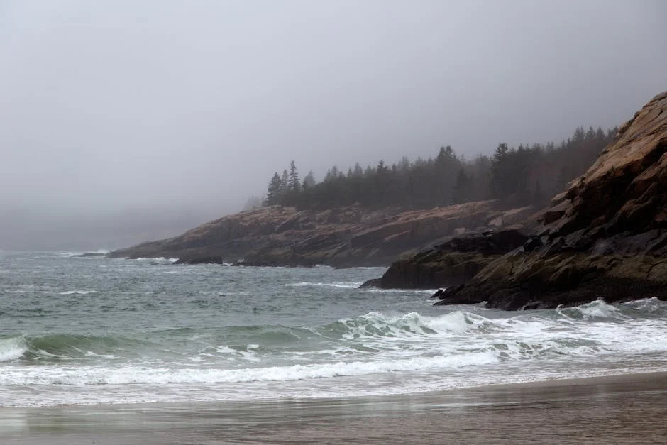 Bar Harbor neighborhood in Acadia National Park