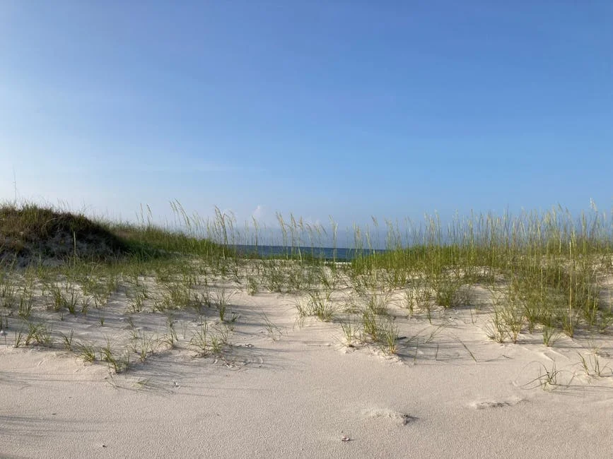 West Beach neighborhood in Gulf Shores, Alabama