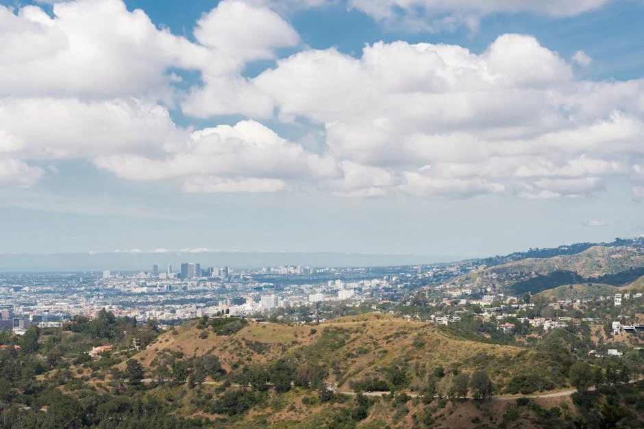 Downtown LA and Exposition Park neighborhood in LA