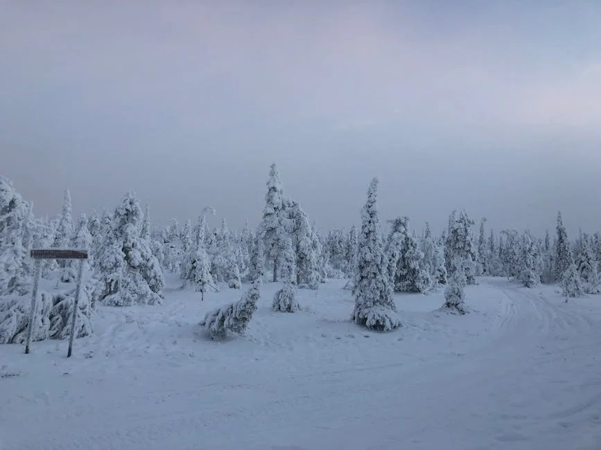 Rovaniemi neighborhood in Lapland
