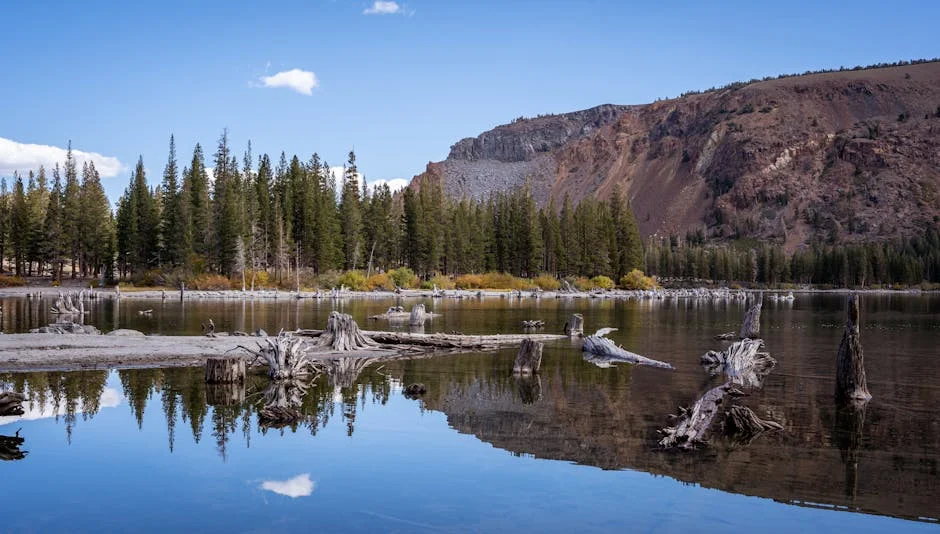 Canyon Lodge Area neighborhood in Mammoth Lakes
