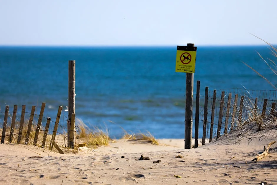 Ditch Plains neighborhood in Montauk