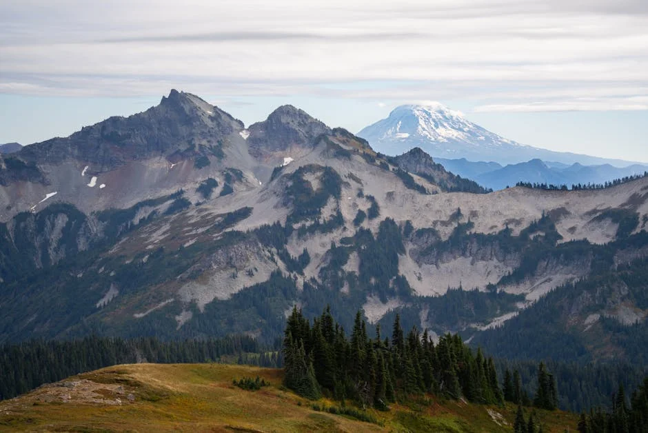 Packwood neighborhood in Mt. Rainier