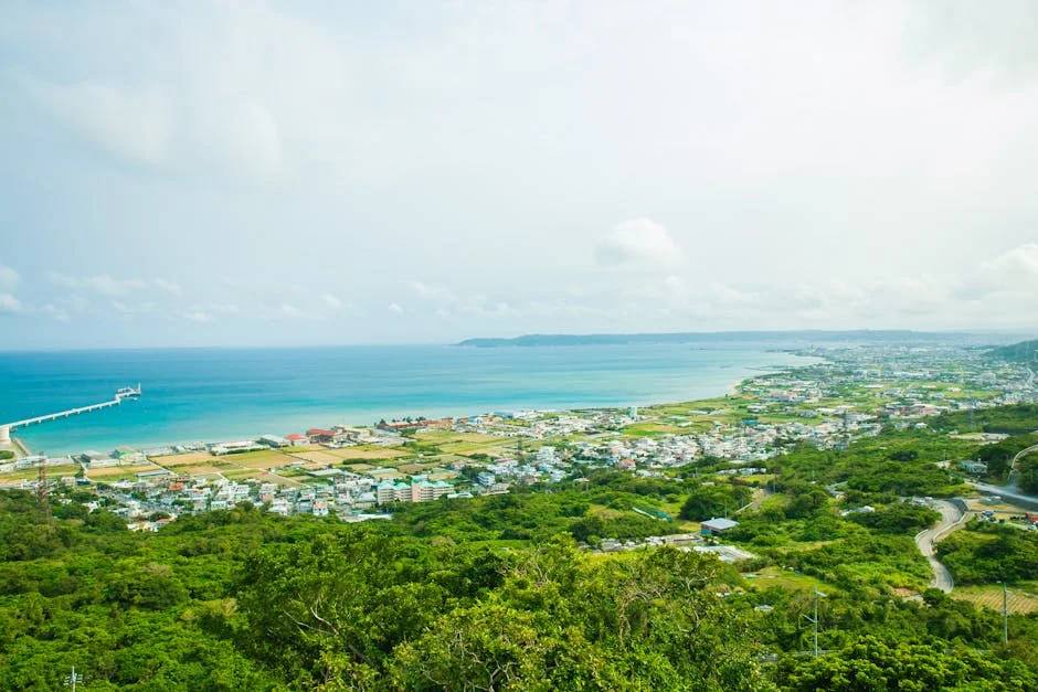 Onna Village (Onna-son) neighborhood in Okinawa