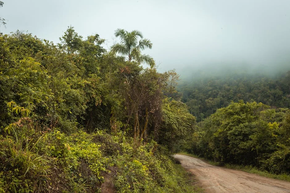 Cristo Rey Road Jungle Lodges neighborhood in San Ignacio