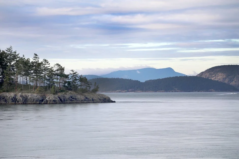 Roche Harbor neighborhood in San Juan Islands