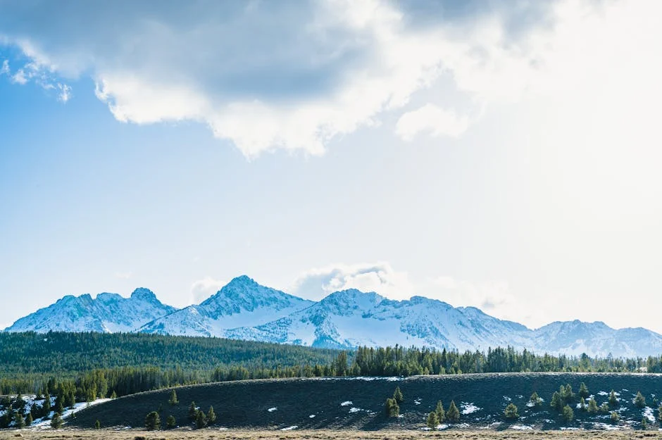 Stanley Lake Area neighborhood in Stanley, Idaho