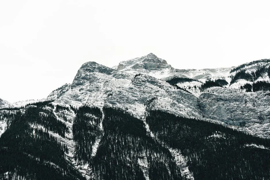 Tunnel Mountain neighborhood in When Visiting Banff National Park