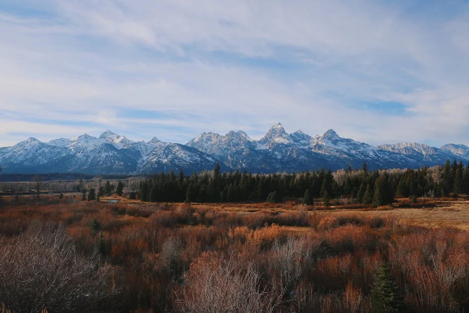 Signal Mountain and Jackson Lake Lodge neighborhood in When Visiting Grand Teton National Park